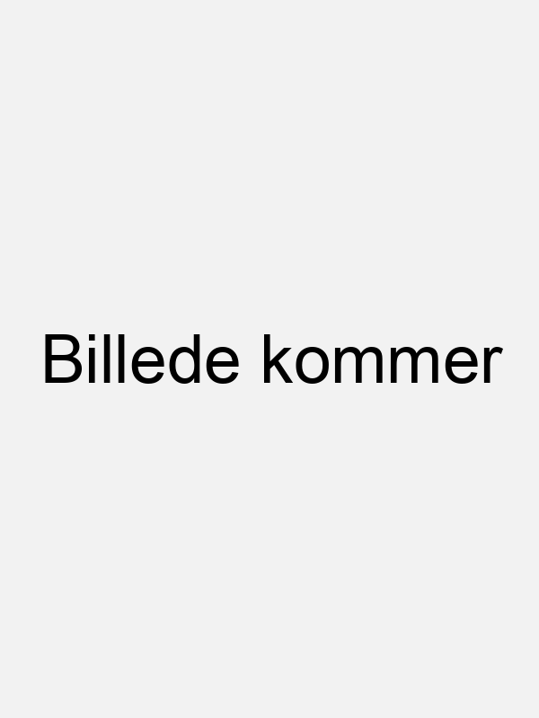 Maskinbørs